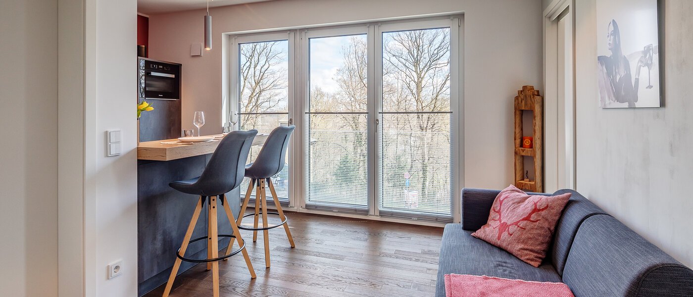 Wohnung München Thalkirchen 02 Wohnbereich 12190