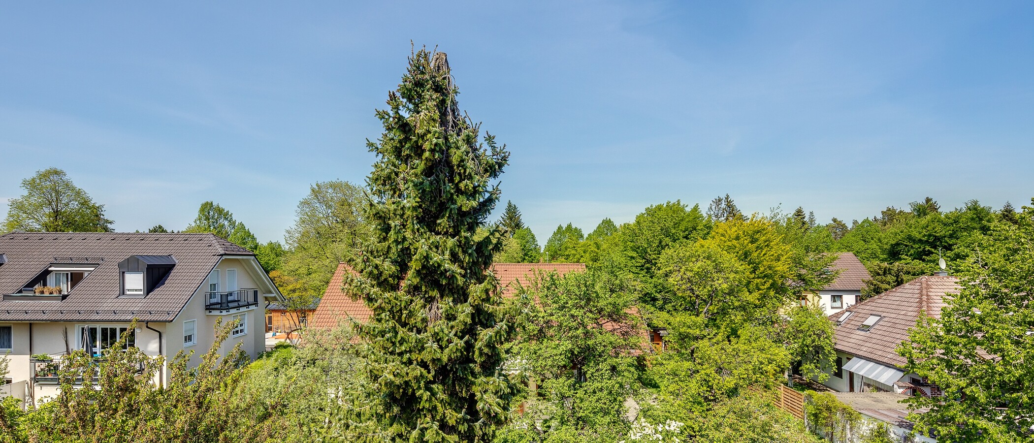 Dachgeschosswohnung München Waldperlach 04 Aussicht 12208