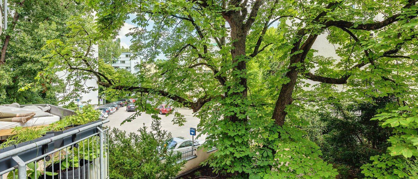 Wohnung München Schwabing 03 Aussicht 12216