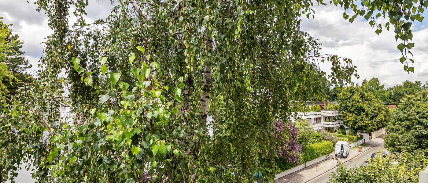 Wohnung München Herzogpark 03 Aussicht 12265