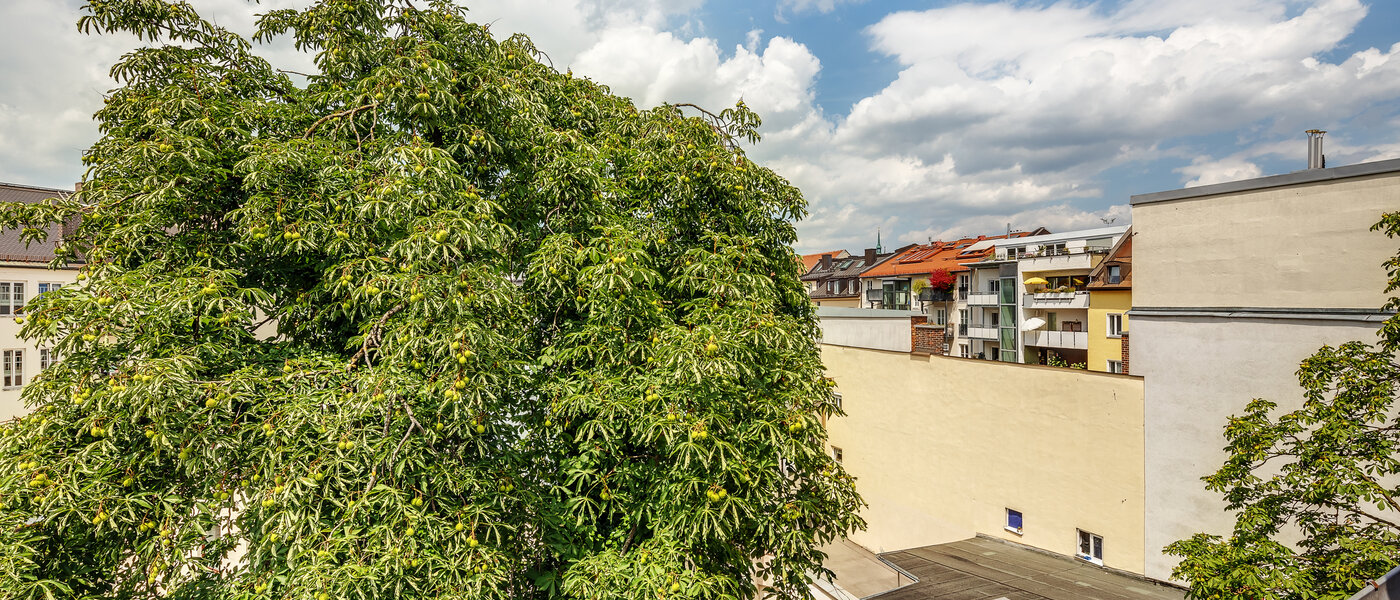 Wohnung München Gärtnerplatzviertel 02 Aussicht 12286
