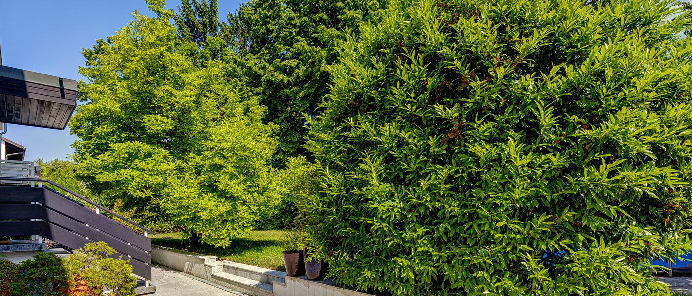 Maisonettewohnung München Cosimapark 06 Gemeinschaft 12301