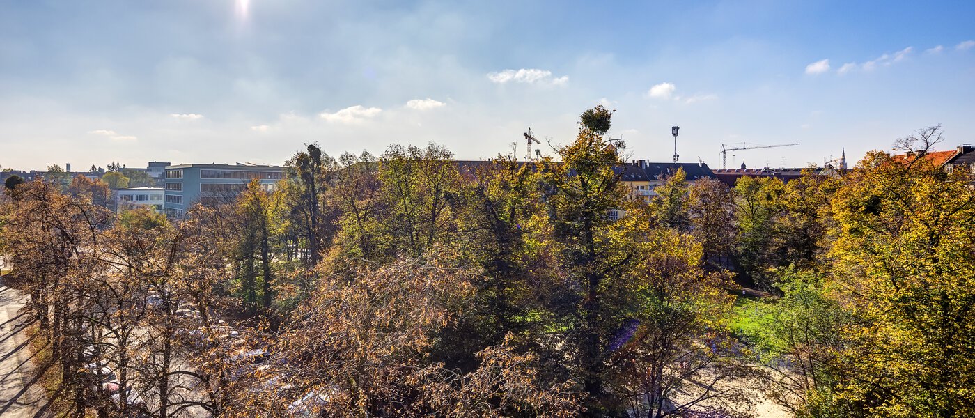 Dachgeschosswohnung München Obergiesing 02 Aussicht 12328