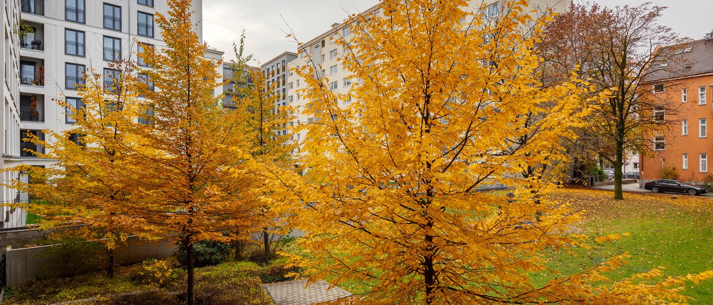 Wohnung München Bogenhausen 01 Aussicht 12389