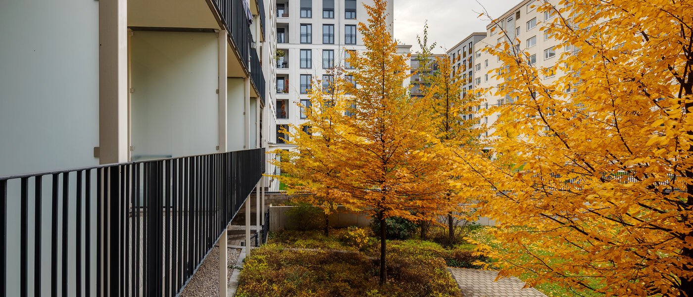 Wohnung München Bogenhausen 02 Aussicht 12389