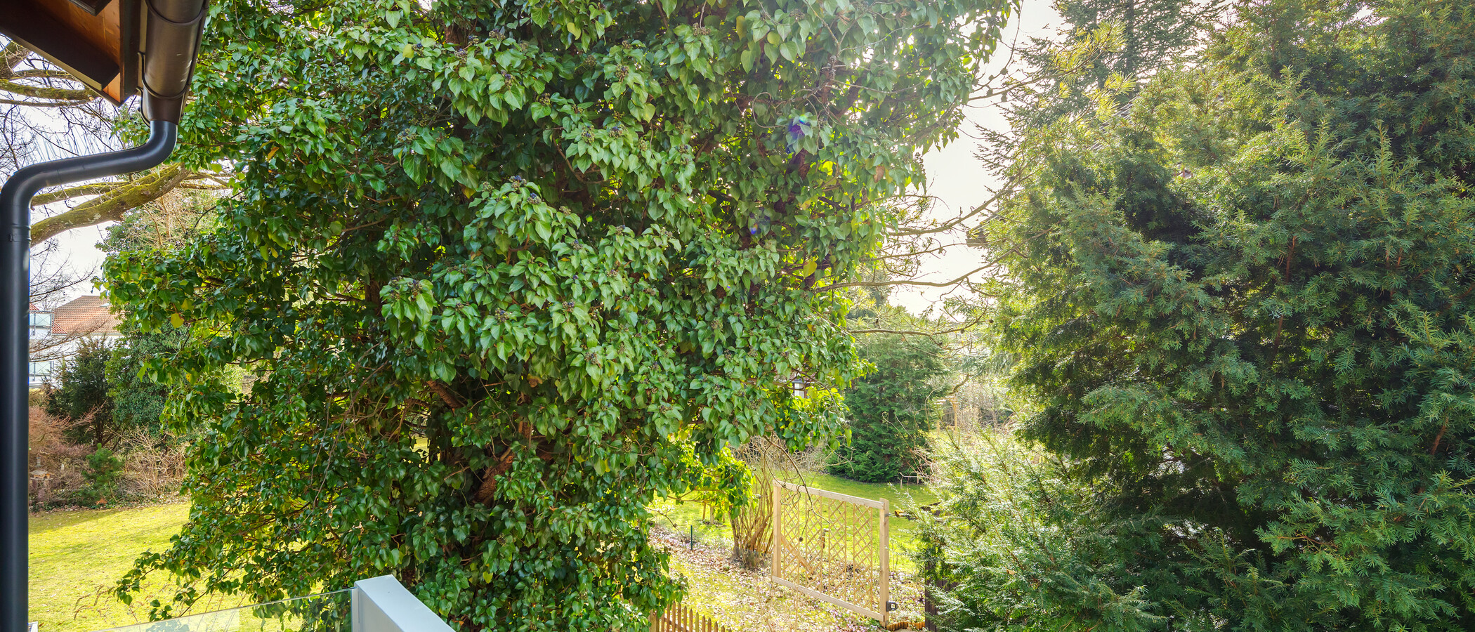 Wohnung München Großhadern 03 Aussicht 12492