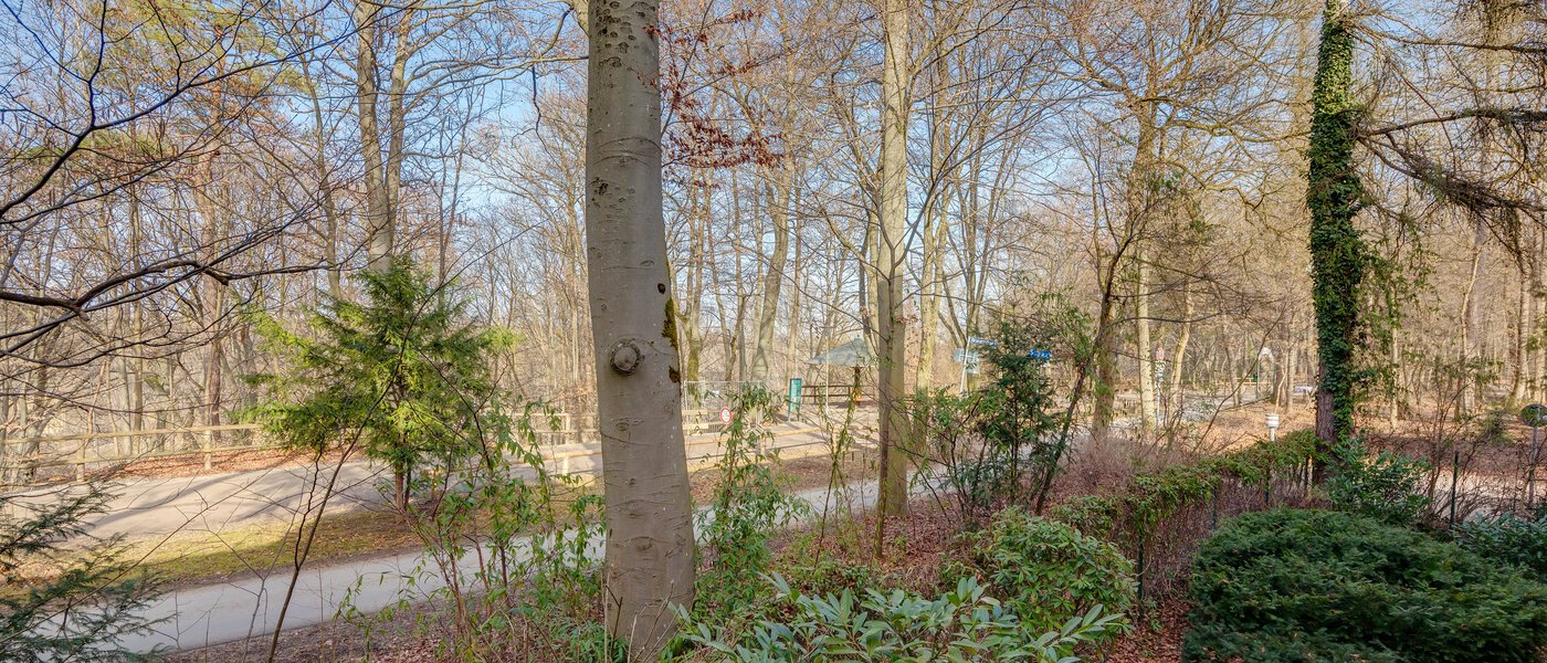 Wohnung München Harlaching 01 Aussicht 12493