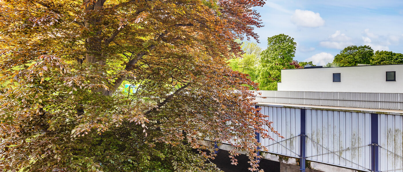 Wohnung München Herzogpark 01 Aussicht 12567