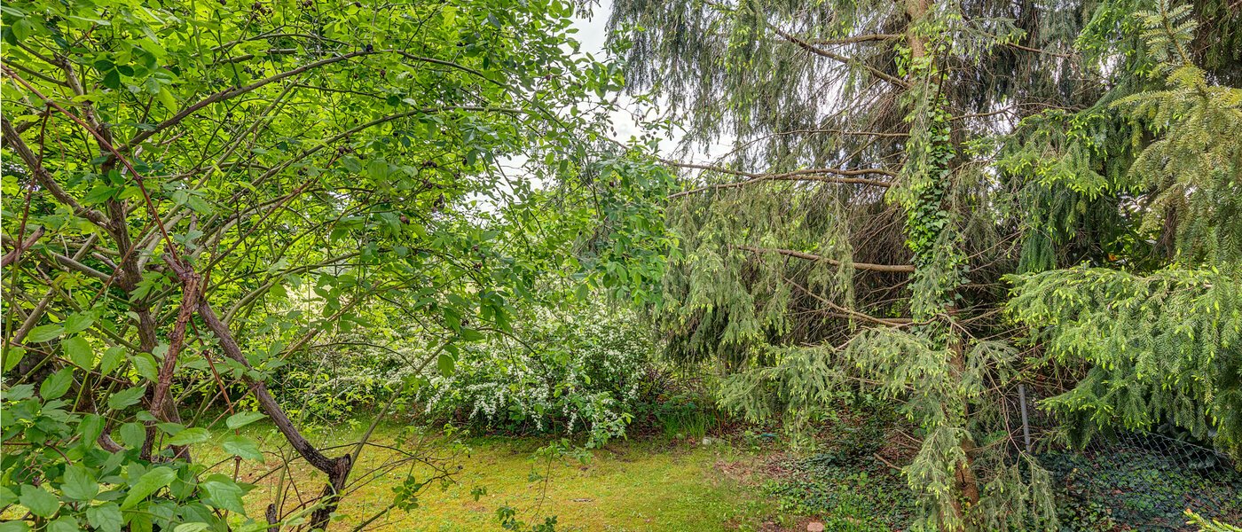 Wohnung München Obermenzing 01 Aussicht 12573