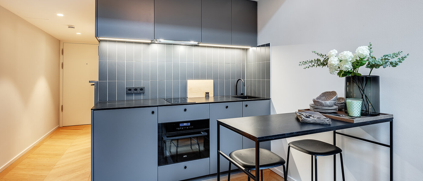 Maisonette-Galerie Wohnung München Herzogpark 01 Küche 12618