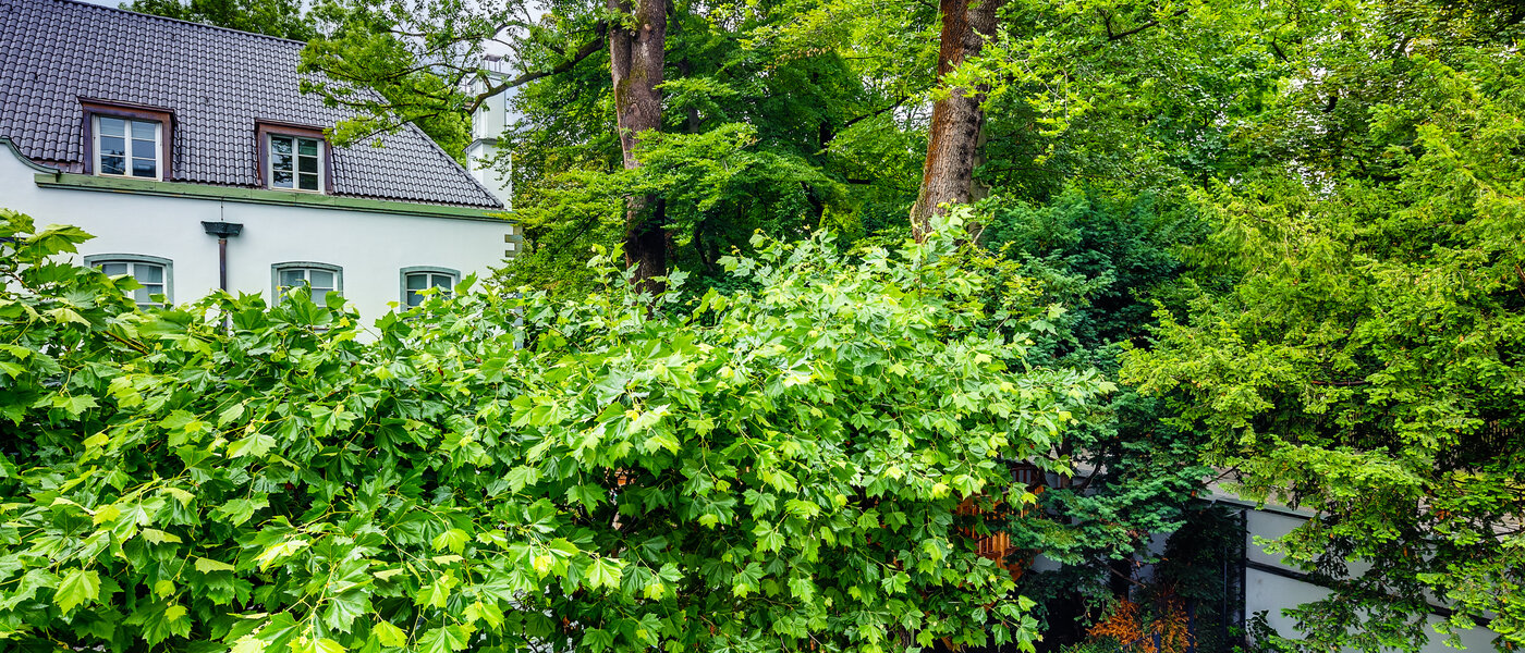 Wohnung München Herzogpark 01 Aussicht 12619