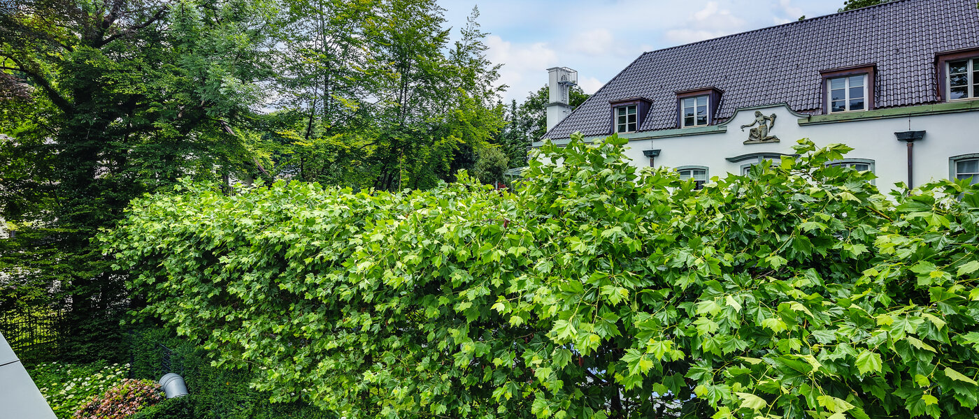 Wohnung München Herzogpark 02 Aussicht 12619