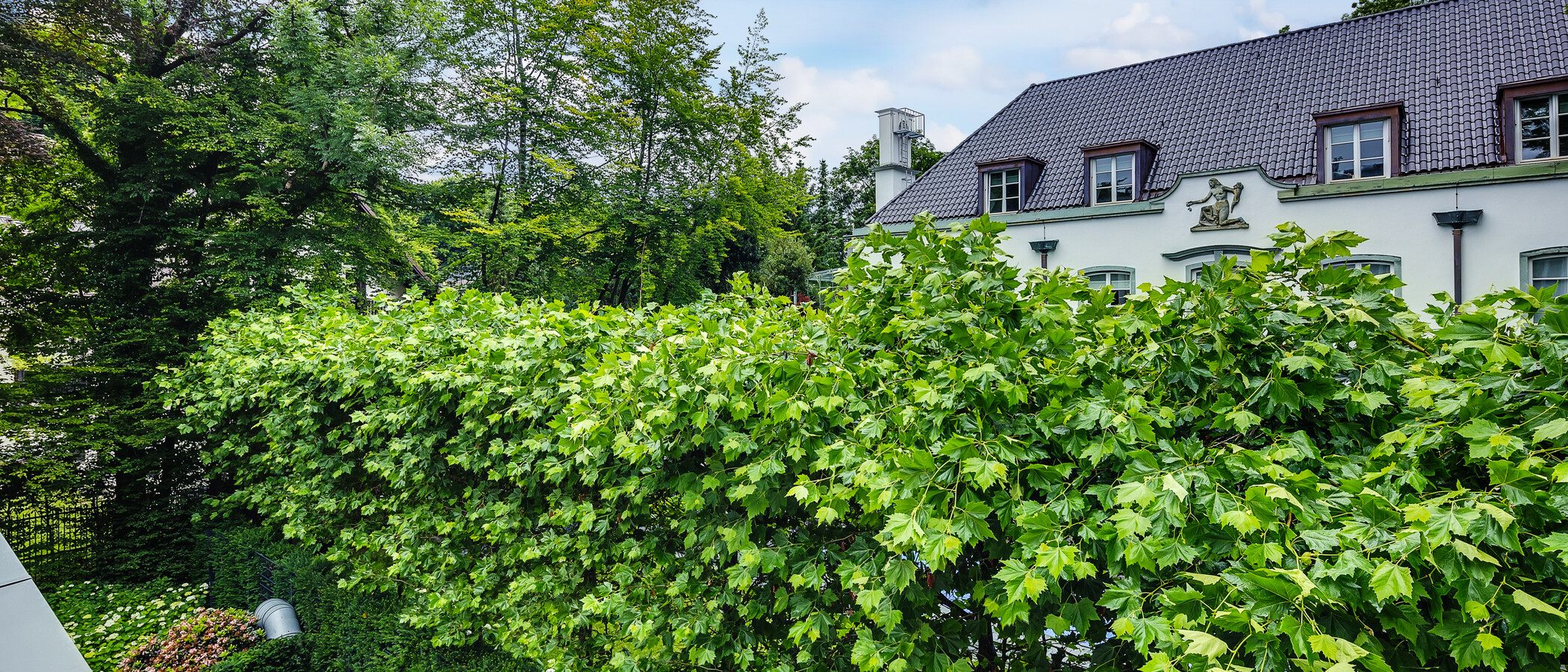 Wohnung München Herzogpark 02 Aussicht 12619