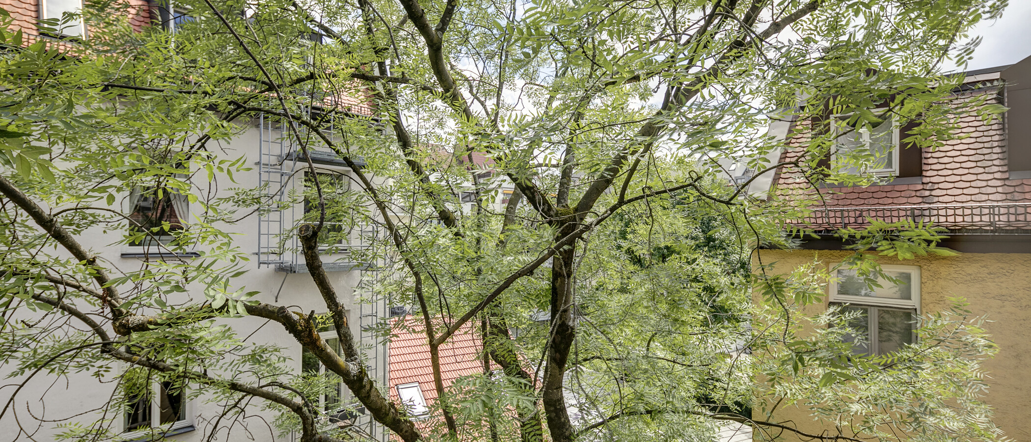 Wohnung München Schwabing (links der Leopoldstraße) 01 Aussicht 1262