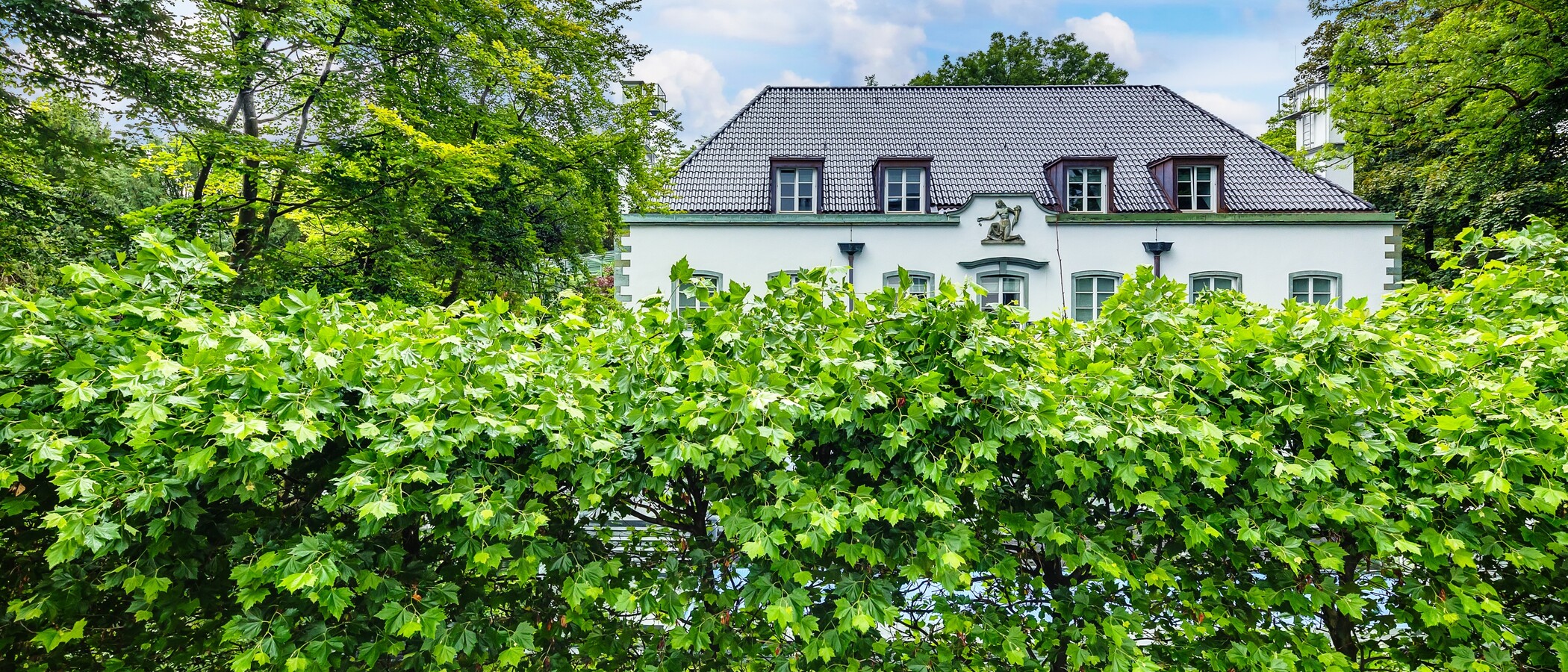 Wohnung München Herzogpark 01 Aussicht 12620