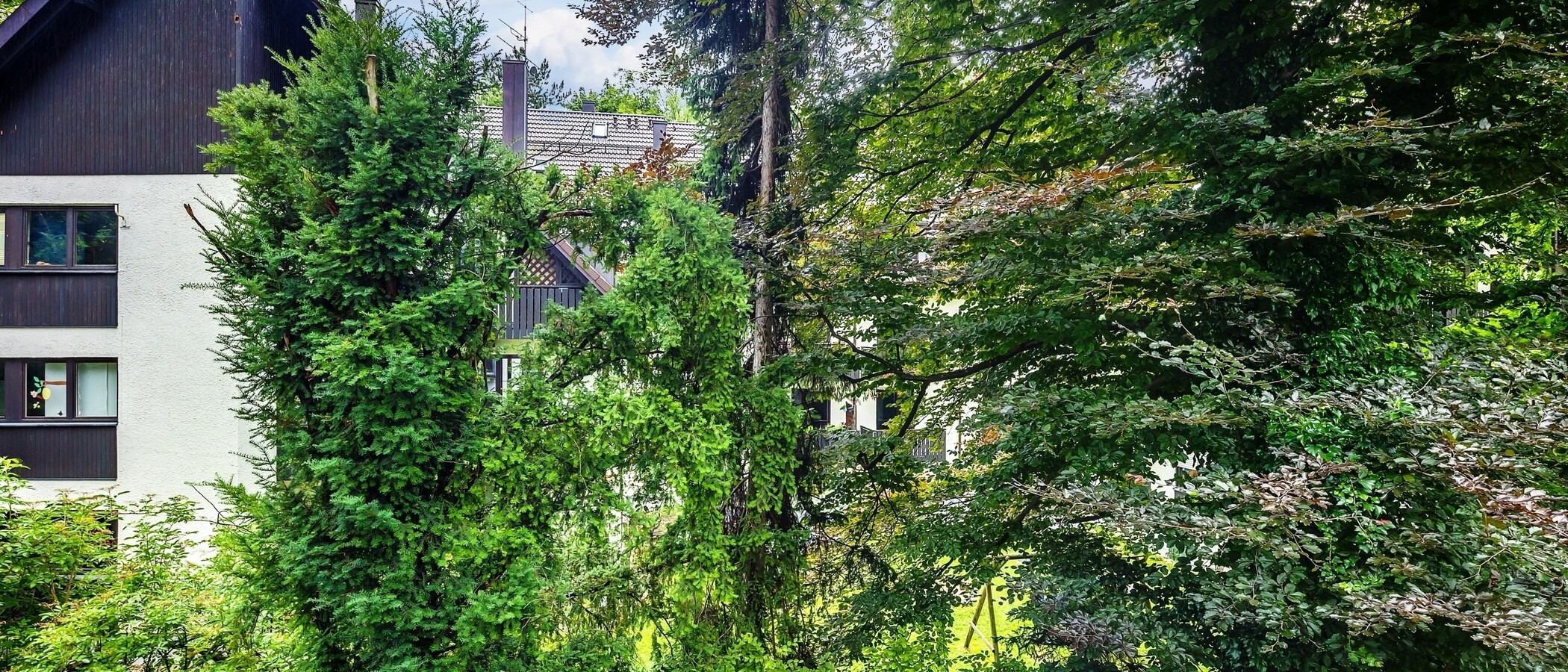 Wohnung München Herzogpark 02 Aussicht 12620