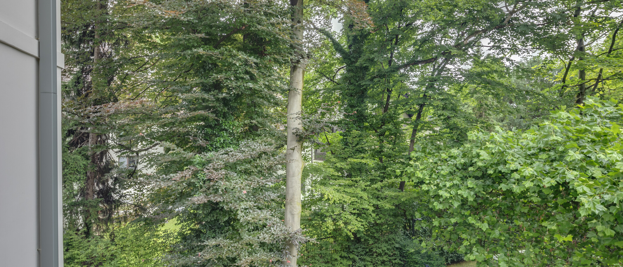 Wohnung München Herzogpark 03 Aussicht 12620