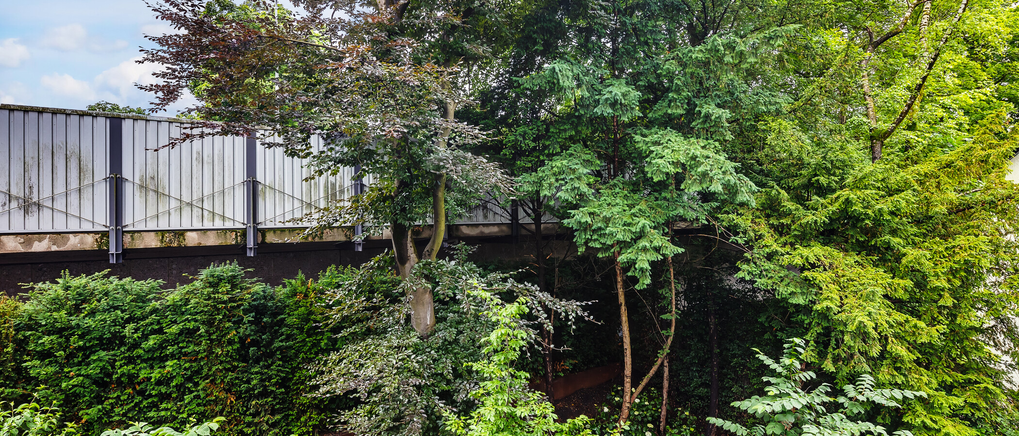 Wohnung München Herzogpark 04 Aussicht 12621