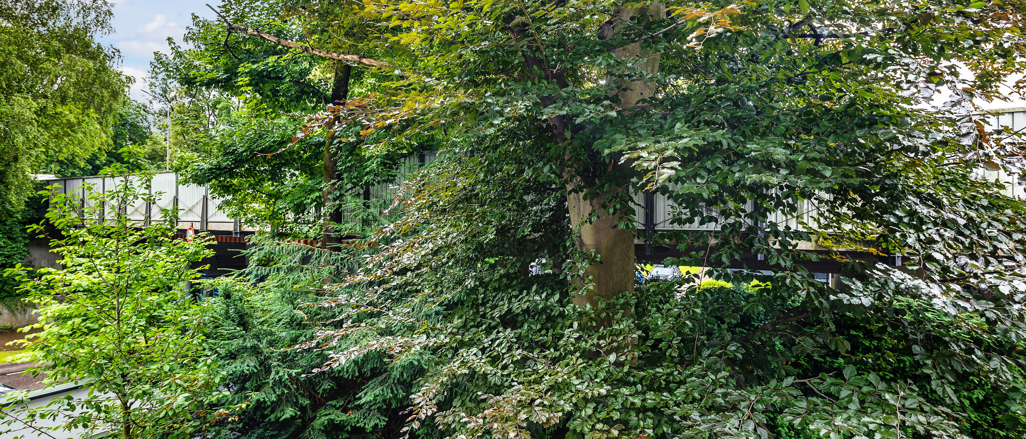 Wohnung München Herzogpark 04 Aussicht 12628