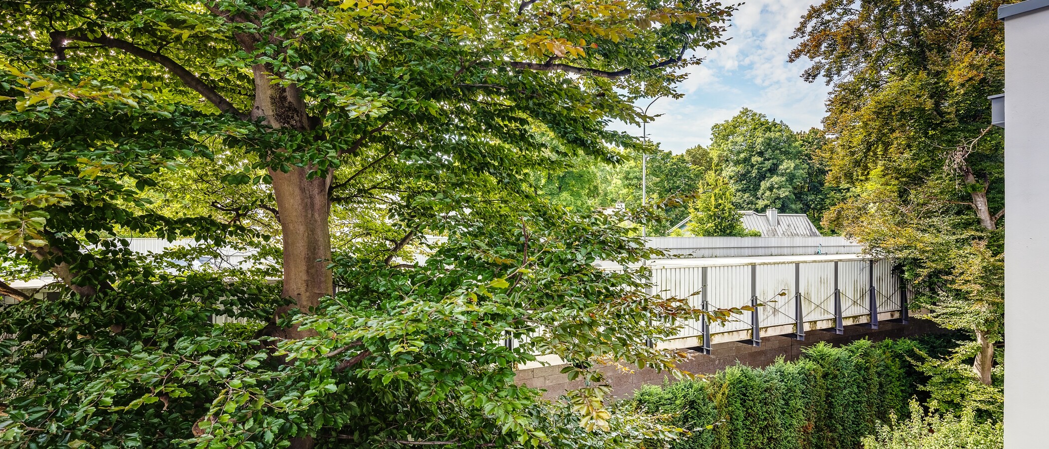 Wohnung München Herzogpark 03 Aussicht 12674