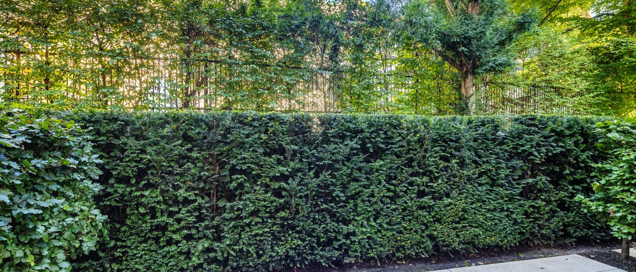 Maisonette-Galerie Wohnung München Herzogpark 01 Aussicht 12681