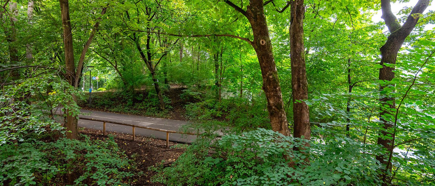 Wohnung München Thalkirchen 01 Aussicht 12695