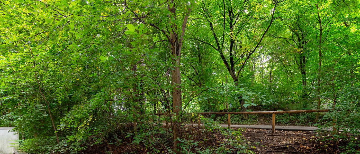 Wohnung München Thalkirchen 02 Aussicht 12695