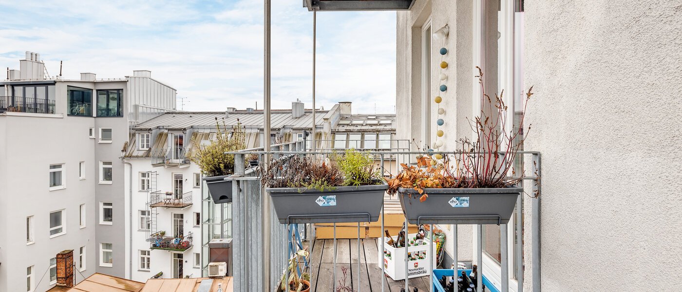 Wohnung München Maxvorstadt - Westen 03 Aussicht 12753