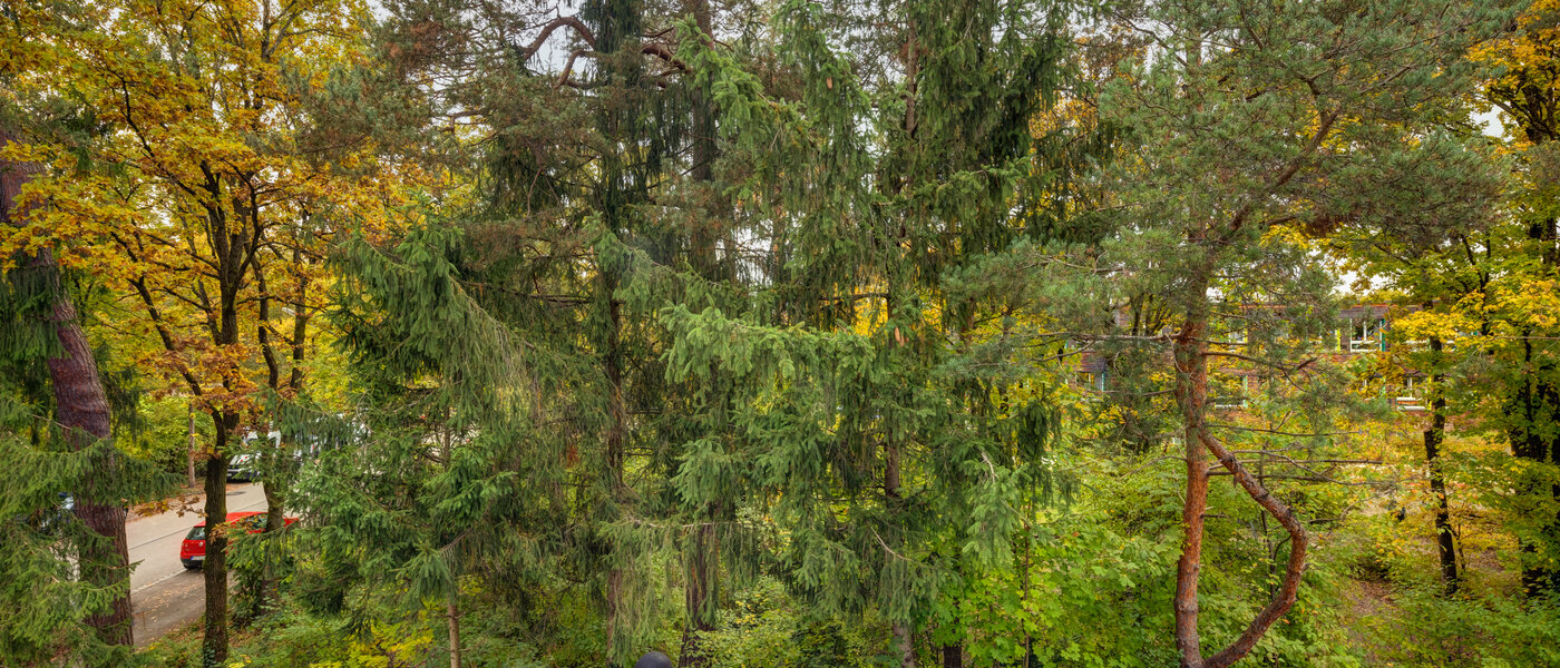 Wohnung Ottobrunn 03 Aussicht 12770