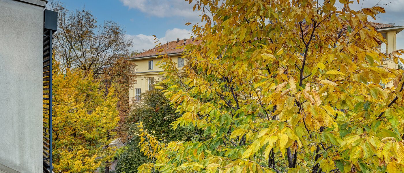 Dachgeschosswohnung München Ludwigsvorstadt 02 Aussicht 12778