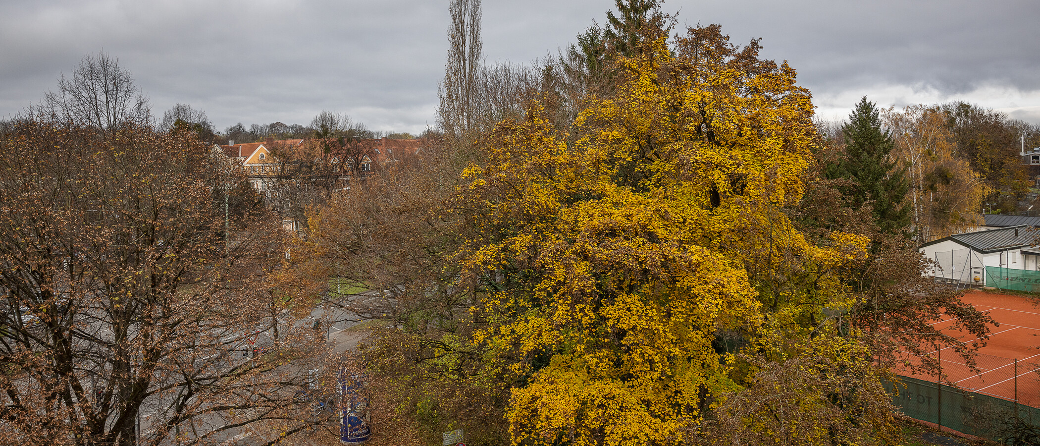 Dachgeschosswohnung München Thalkirchen 05 Aussicht 12801