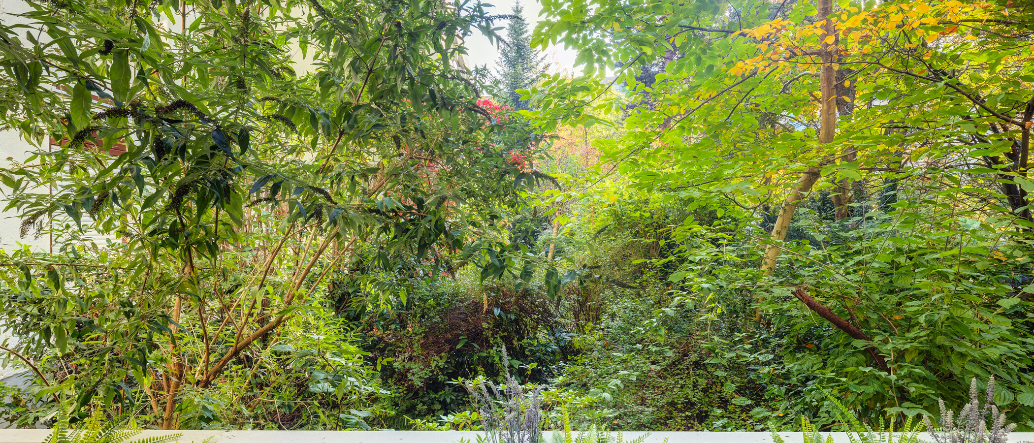 Split-Level Wohnung München Herzogpark 02 Aussicht 12889