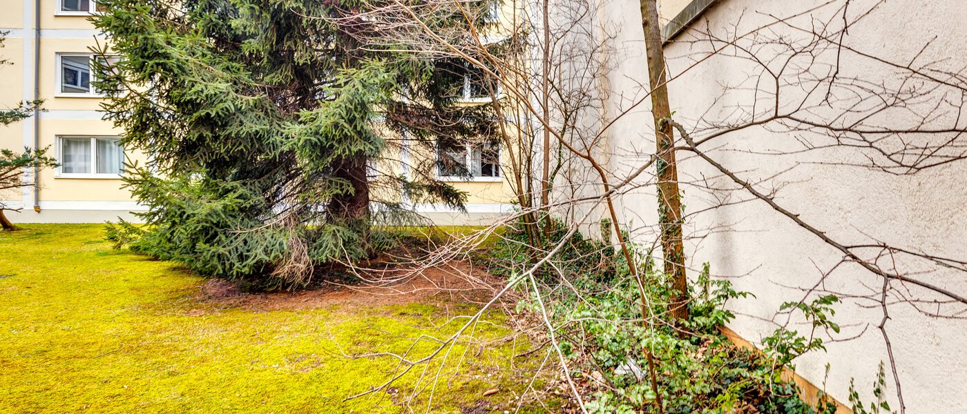 Wohnung München Maxvorstadt - Universitätsviertel 02 Aussicht 12898