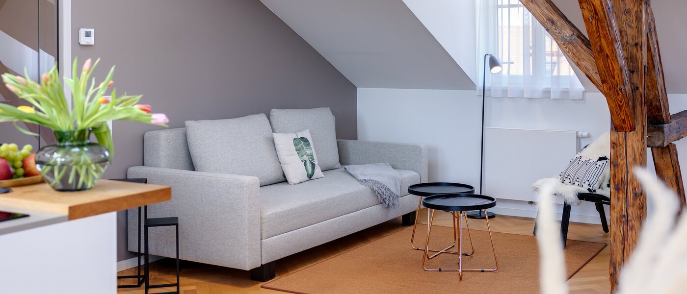 Dachgeschosswohnung München Isarvorstadt 04 Wohnbereich 12963