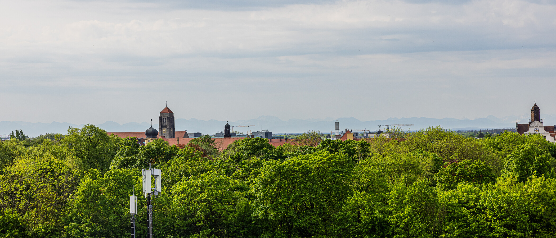 Wohnung München Au 04 Gemeinschaftsterrasse  13003