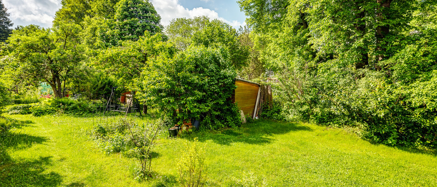 Gartenwohnung Germering 01 Aussicht 13004