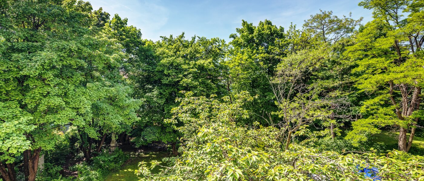 Wohnung München Parkstadt Schwabing 02 Aussicht 13011