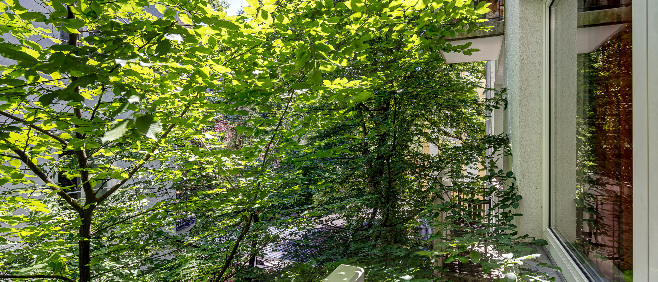 Wohnung München Schwabing-West (rund um den Hohenzollernplatz) 02 Aussicht 13038