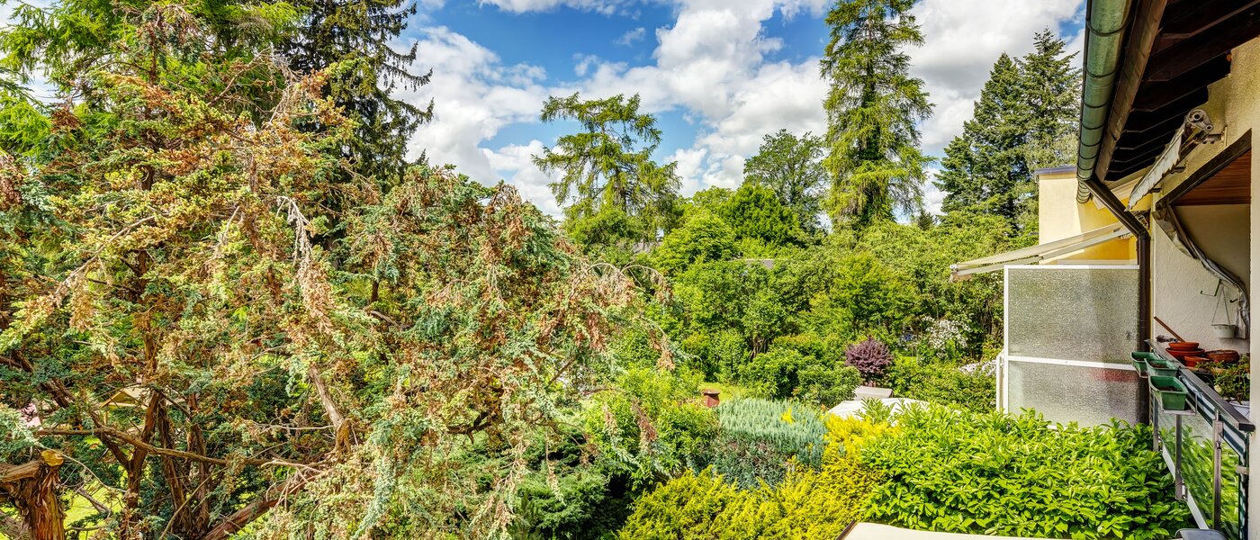 Wohnung München Berg am Laim 03 Aussicht 13039