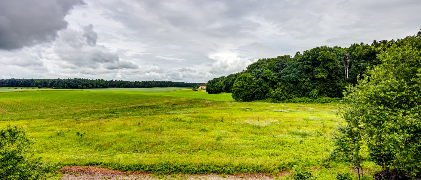 Wohnung Kottgeisering 01 Aussicht 13040