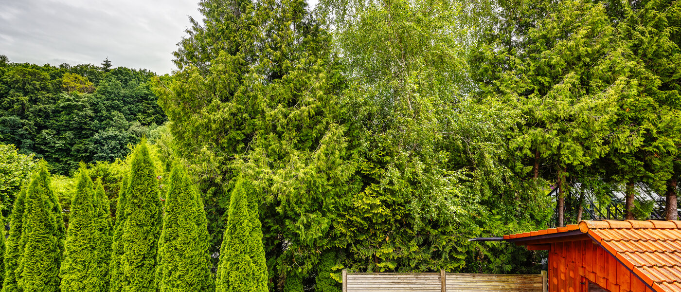 Wohnung Kottgeisering 04 Aussicht 13040