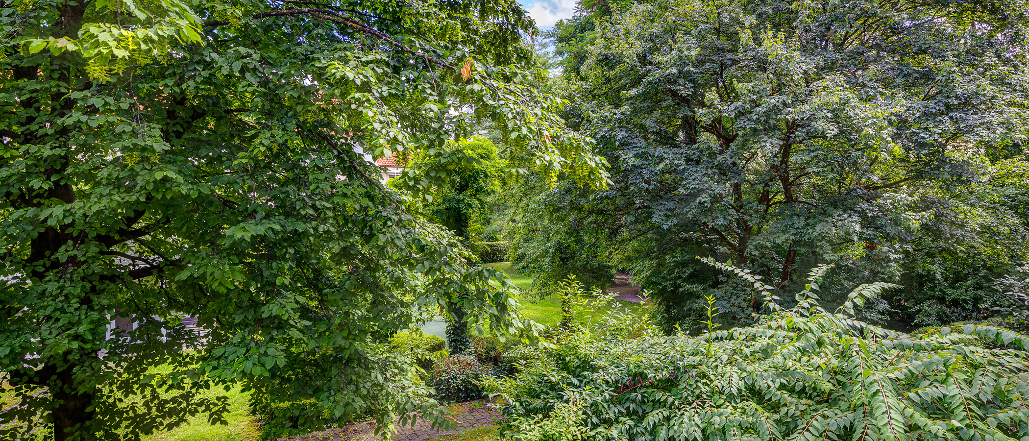 Wohnung München Schwabing-Nord (zw. Belgrad- & Leopoldstraße) 02 Aussicht 13047