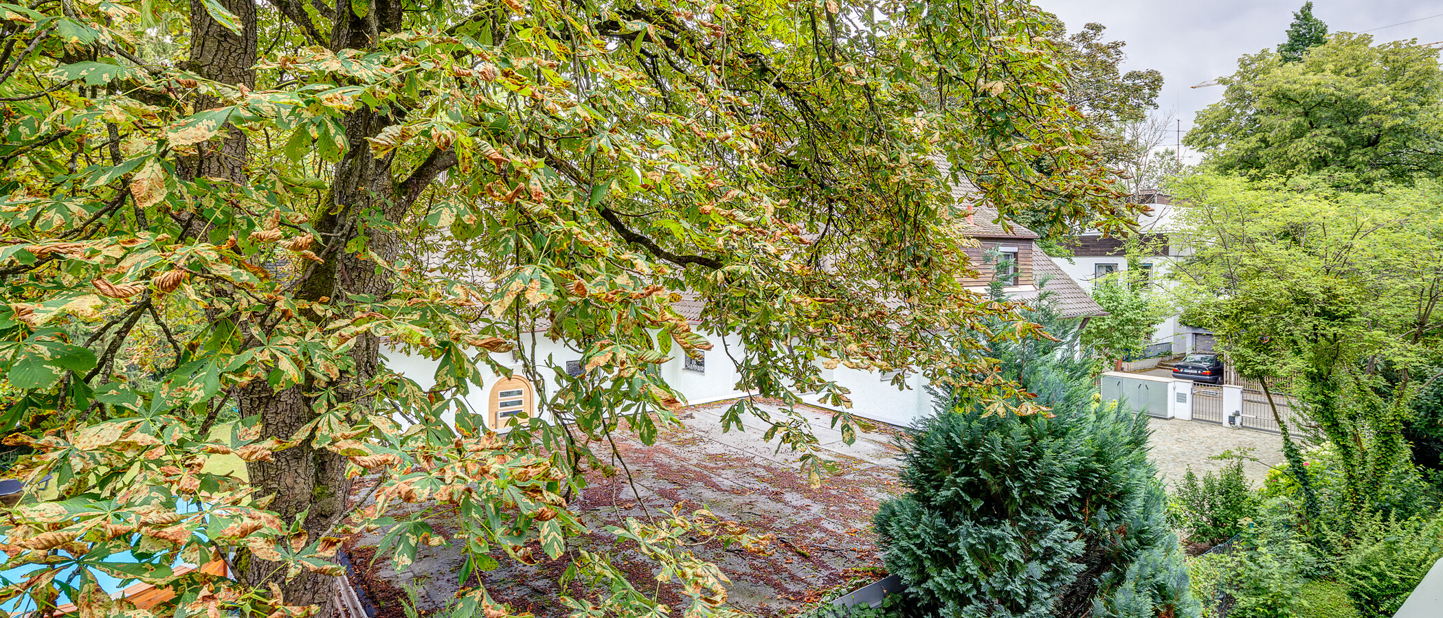 Wohnung München Nymphenburg 02 Aussicht 13051