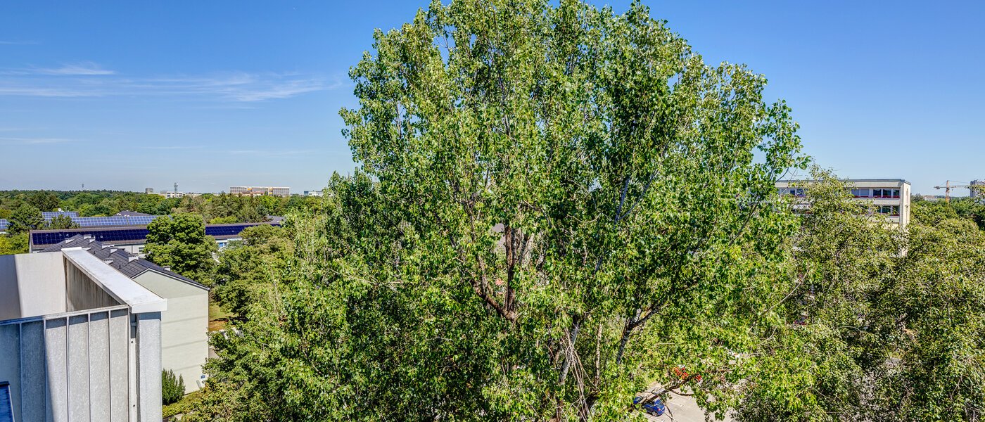 Wohnung München Fürstenried 02 Aussicht 13096