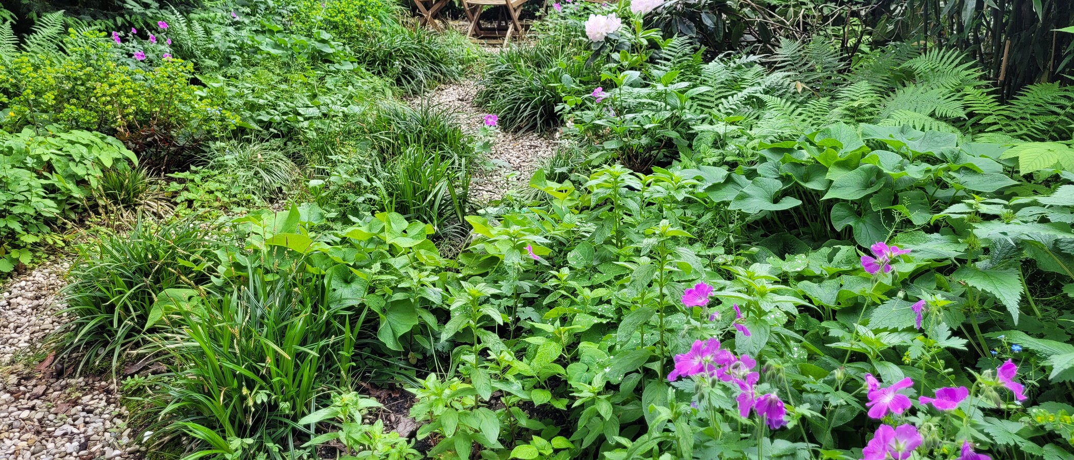 Wohnung München Altbogenhausen 02 Gemeinschaftsgarten 13119