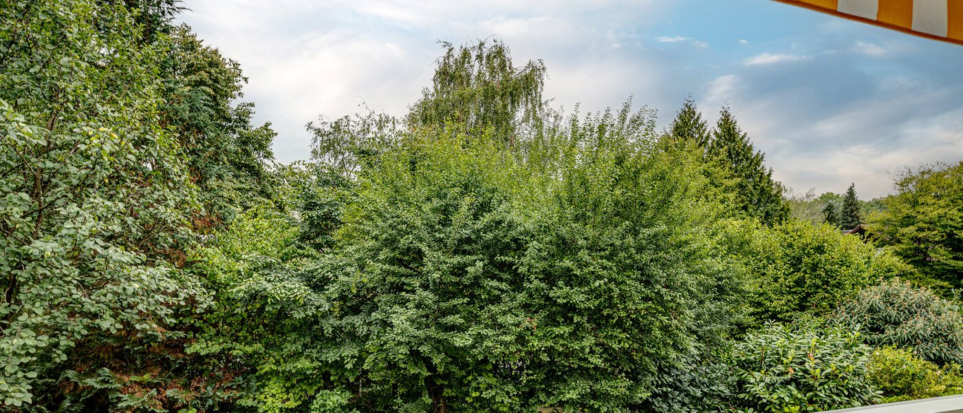 Wohnung München Schwabing 01 Aussicht 13128