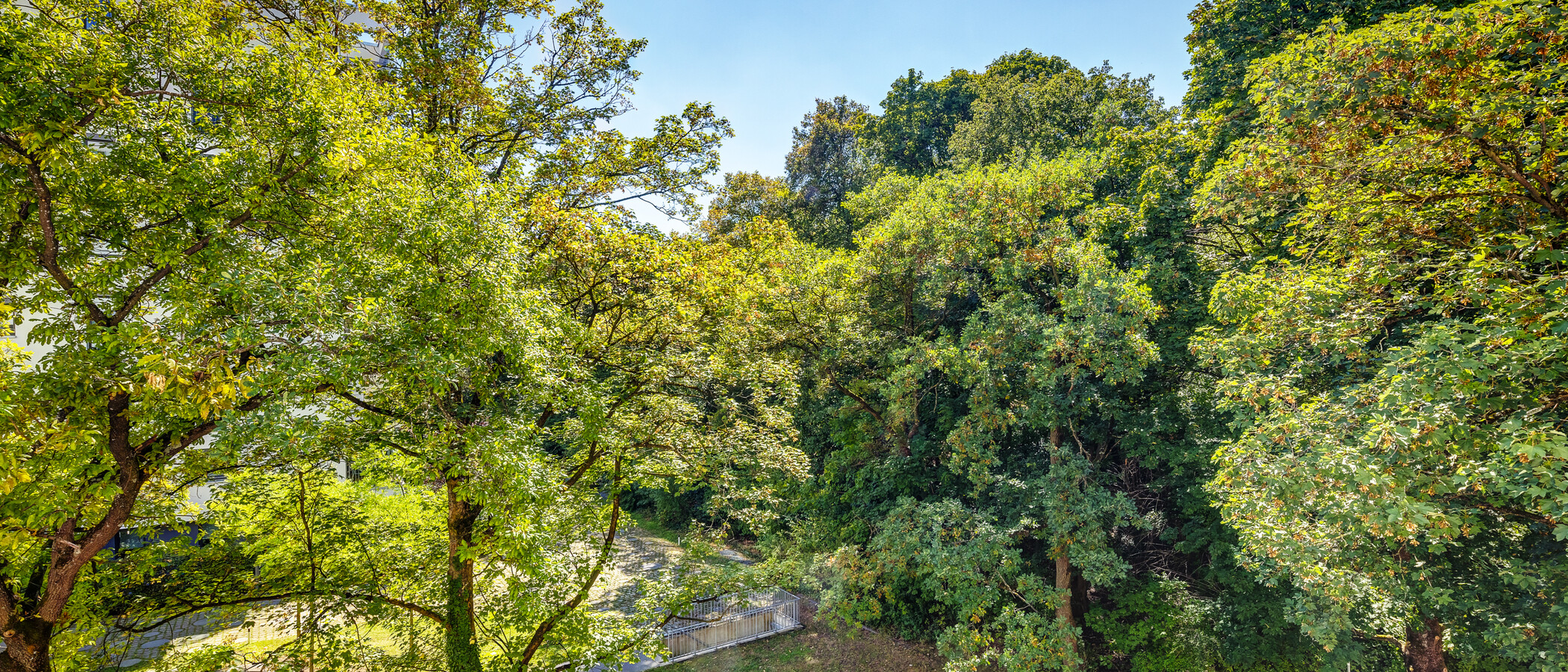 Wohnung München Perlach 02 Aussicht 13132