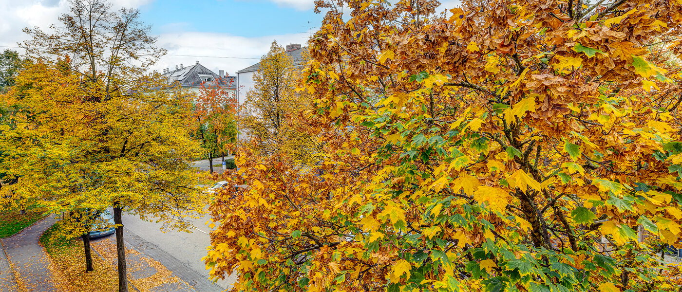 Wohnung München Thalkirchen 01 Aussicht 13192