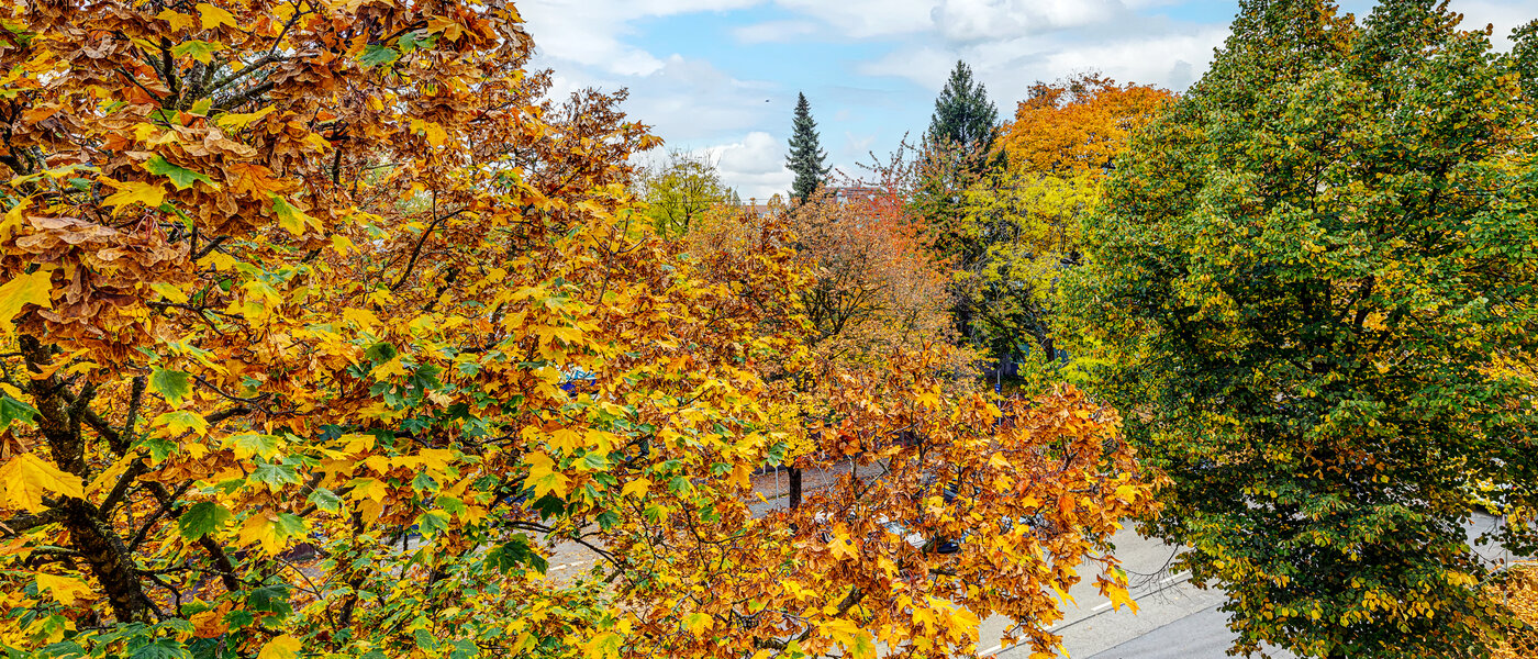 Wohnung München Thalkirchen 04 Aussicht 13192