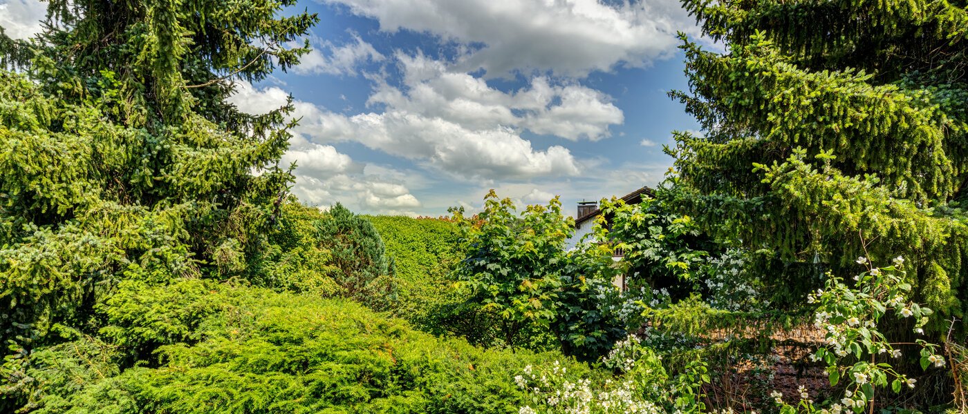 Dachgeschosswohnung Inning am Ammersee 03 Aussicht 13224